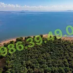 Bán đất vườn 16.500m² view Hồ Trị An, Vĩnh Cửu, Đồng Nai - Ảnh thu nhỏ 3