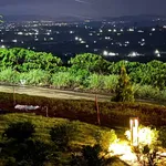 Bán đất 478m² view núi tại Tân Hà, Bình Dương, 479 triệu - Ảnh thu nhỏ 2