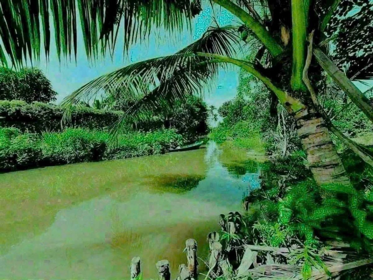 Bán đất vườn măng cụt Cần Giờ 5.888m2 giá 14,7 tỷ - Ảnh thu nhỏ 5