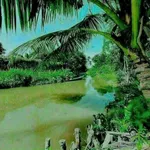 Bán đất vườn măng cụt Cần Giờ 5.888m2 giá 14,7 tỷ - Ảnh thu nhỏ 5