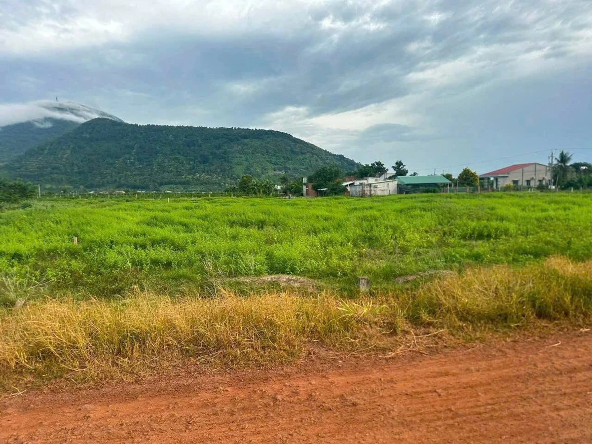 Bán đất 175m² Phường Bình Minh, Bình Tân, giá 245 triệu - Ảnh thu nhỏ 3