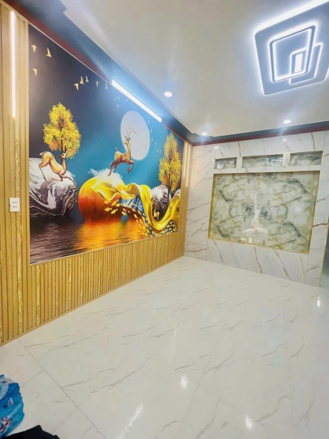 Bán nhà 3PN 70,5m² Tân Đông Hiệp Bình Chánh - Ảnh 1