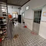 Bán đất Đông Hoà Bình Chánh 100m2 gần trường Trần Quý Cáp - Ảnh thu nhỏ 1