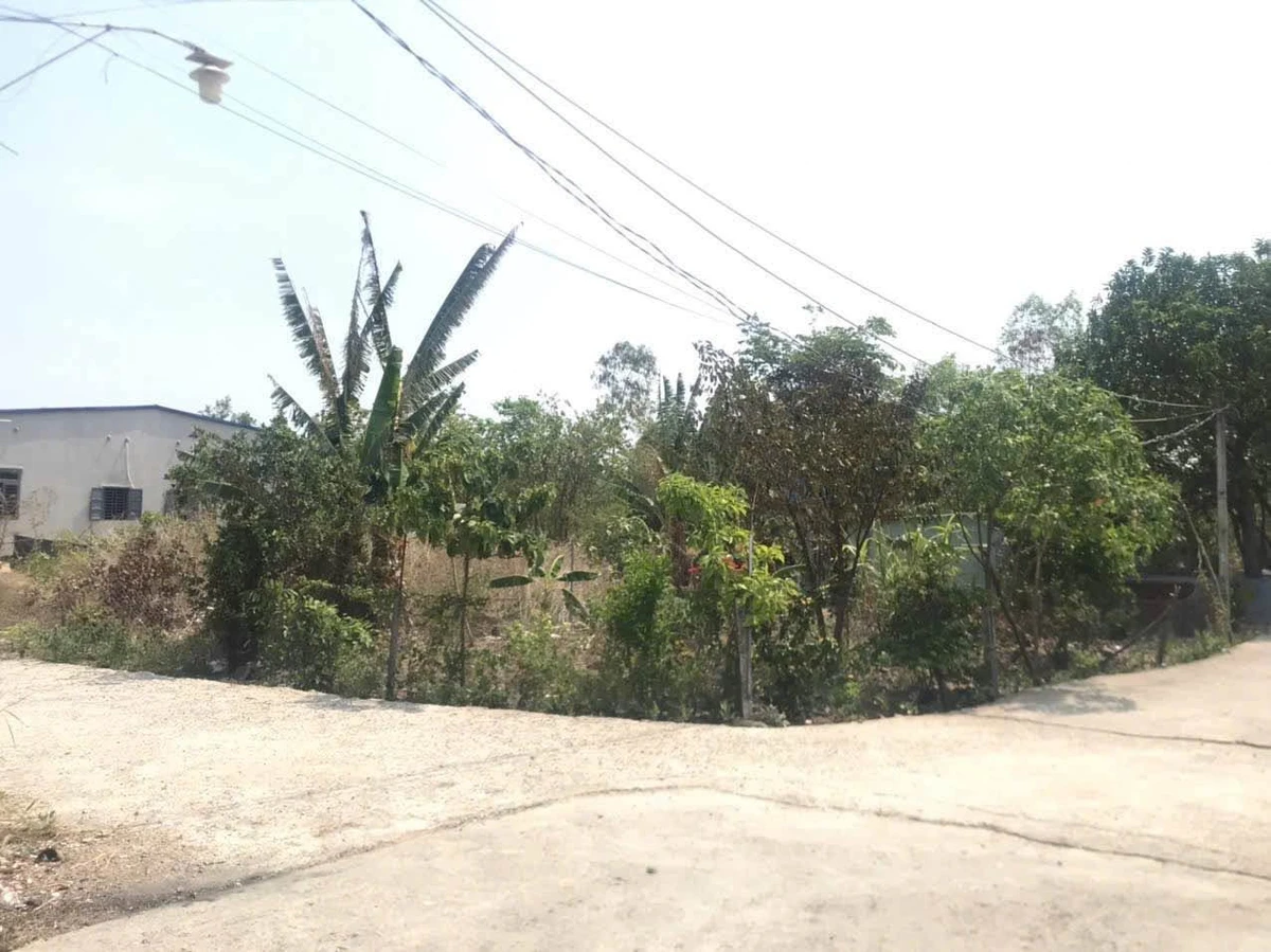 Bán lô đất 1 sào (9920 m²) 2 mặt tiền Phú Mỹ 5.5 tỷ - Ảnh thu nhỏ 2