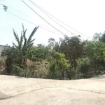 Bán lô đất 1 sào (9920 m²) 2 mặt tiền Phú Mỹ 5.5 tỷ - Ảnh thu nhỏ 2