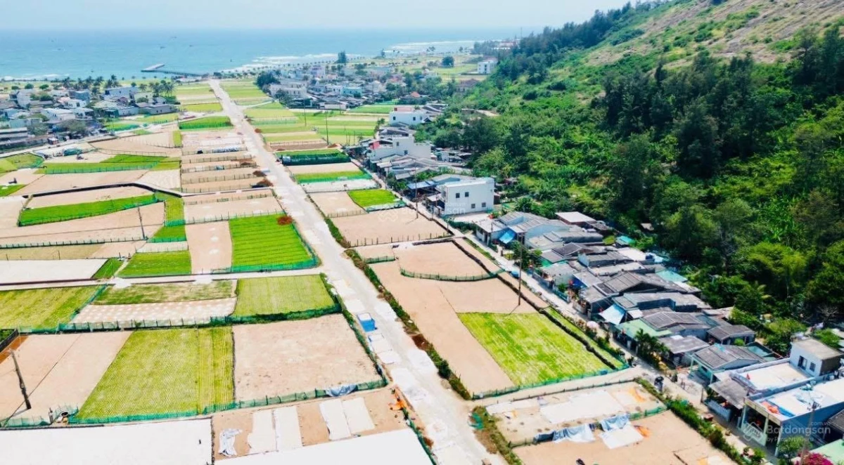 Quang Vinh chào bán nhà và đất. 256m2 thổ cư ngay bãi tắm thắng cảnh Hang Cau đường ô tô - Ảnh 1