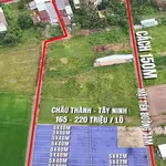 Bán đất nền 5x30m Ấp Chòm Dừa Châu Thành Tây Ninh - Ảnh thu nhỏ 4
