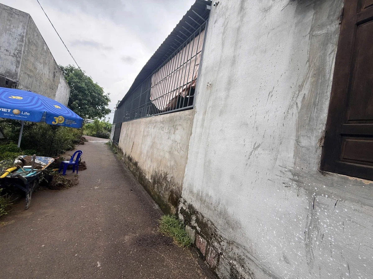 Bán lô đất Tuy Phước 138,7m² full thổ cư 1 tỷ 2 - Ảnh thu nhỏ 2