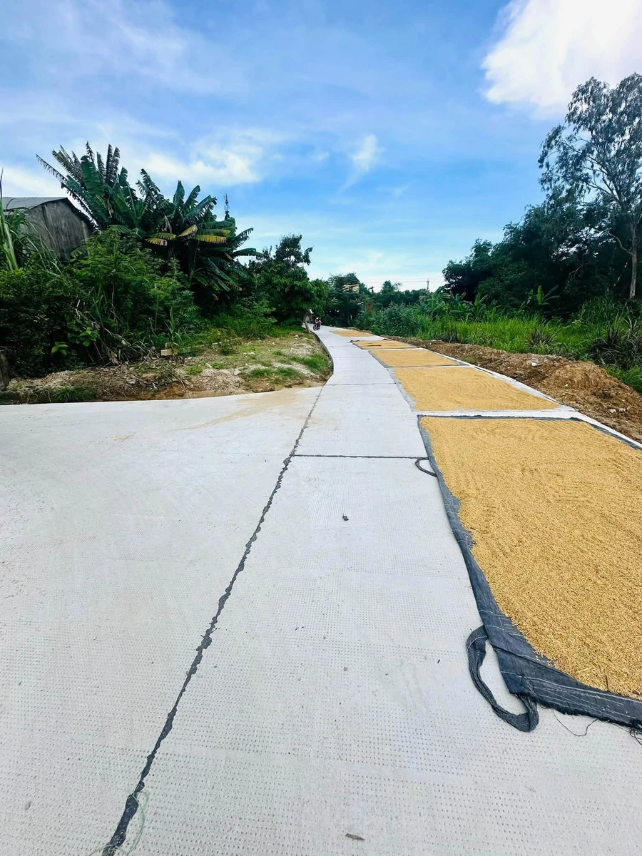 Bán lô góc 2 mặt tiền 181m2 Châu Thủy, Đà Nẵng 9xx triệu - Ảnh thu nhỏ 3