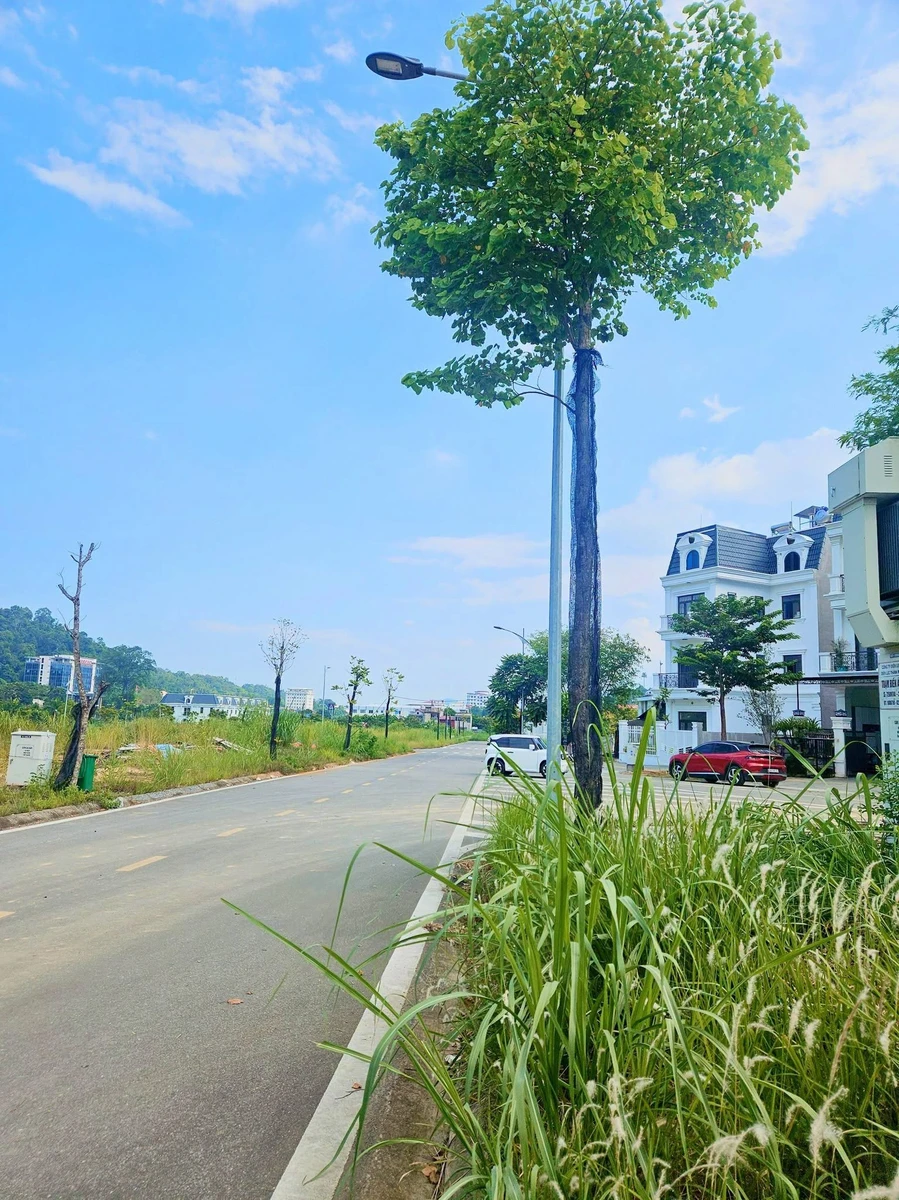 Bán đất 6×20m + vườn 36m² tại Metropolit, Bắc Cường, 2 tỷ 560 triệu - Ảnh thu nhỏ 3