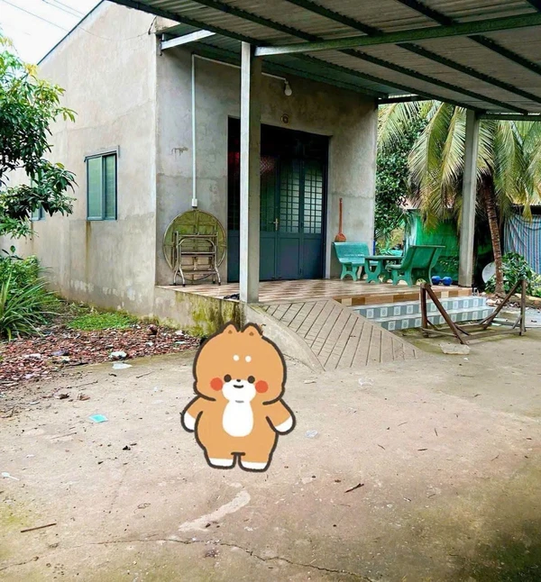 Bán nhà và đất 600m² Bến Tre 650 triệu