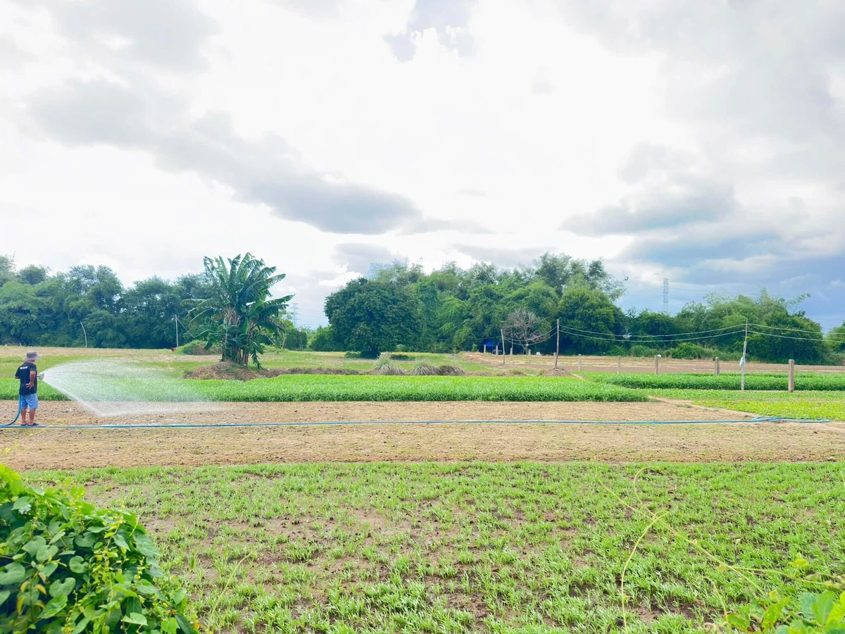 Bán lô đất 12.345m2 tại Hàm Thắng, Lâm Đồng - Ảnh thu nhỏ 3