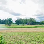 Bán lô đất 12.345m2 tại Hàm Thắng, Lâm Đồng - Ảnh thu nhỏ 3
