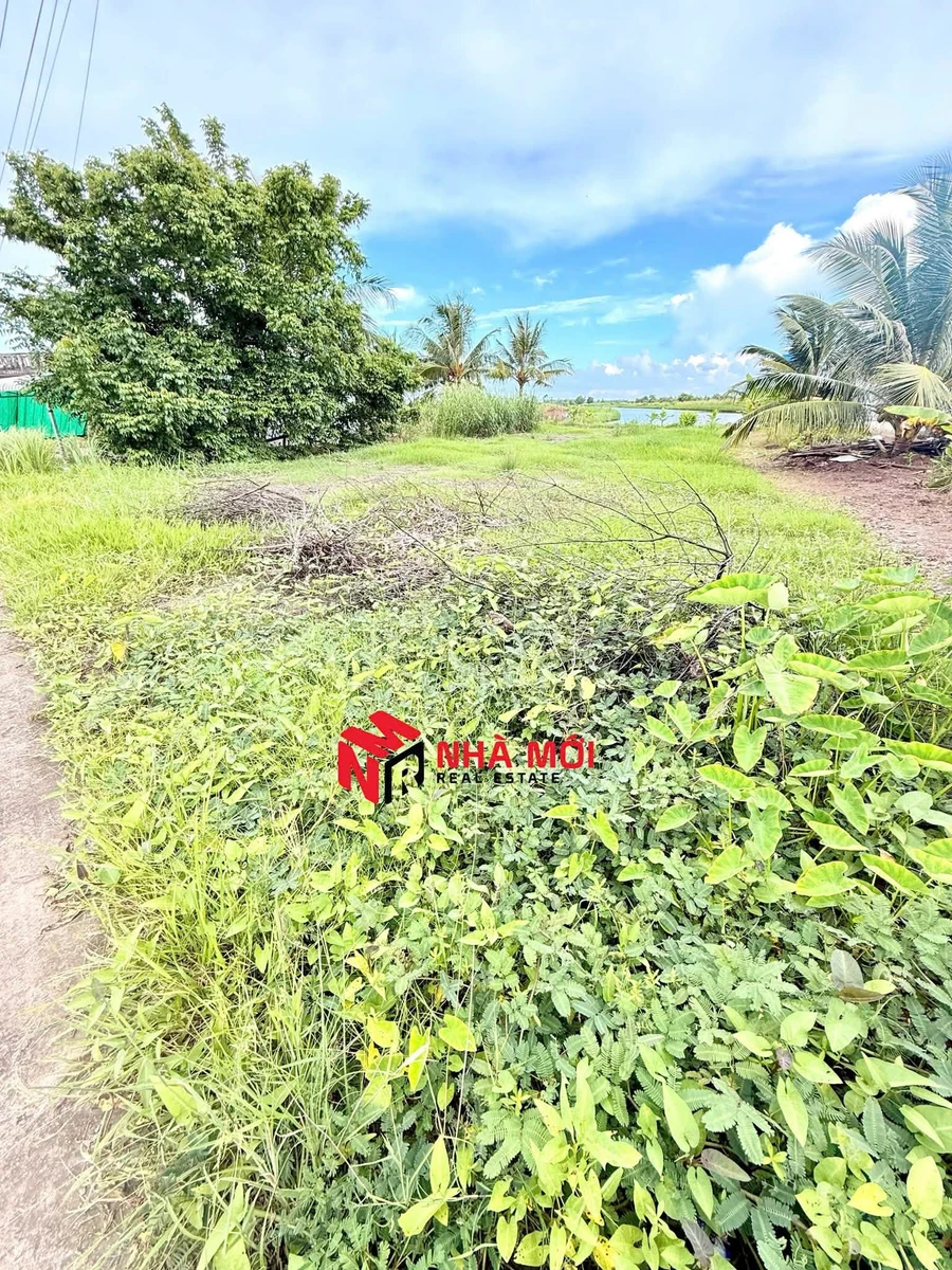 Bán đất vườn view kênh Bạch Ngưu 10x33m, 330m² Nhà Bè - Ảnh thu nhỏ 5