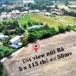 Bán đất nền 575m² xã Phan, Tây Ninh, 280 triệu - Ảnh thu nhỏ 1