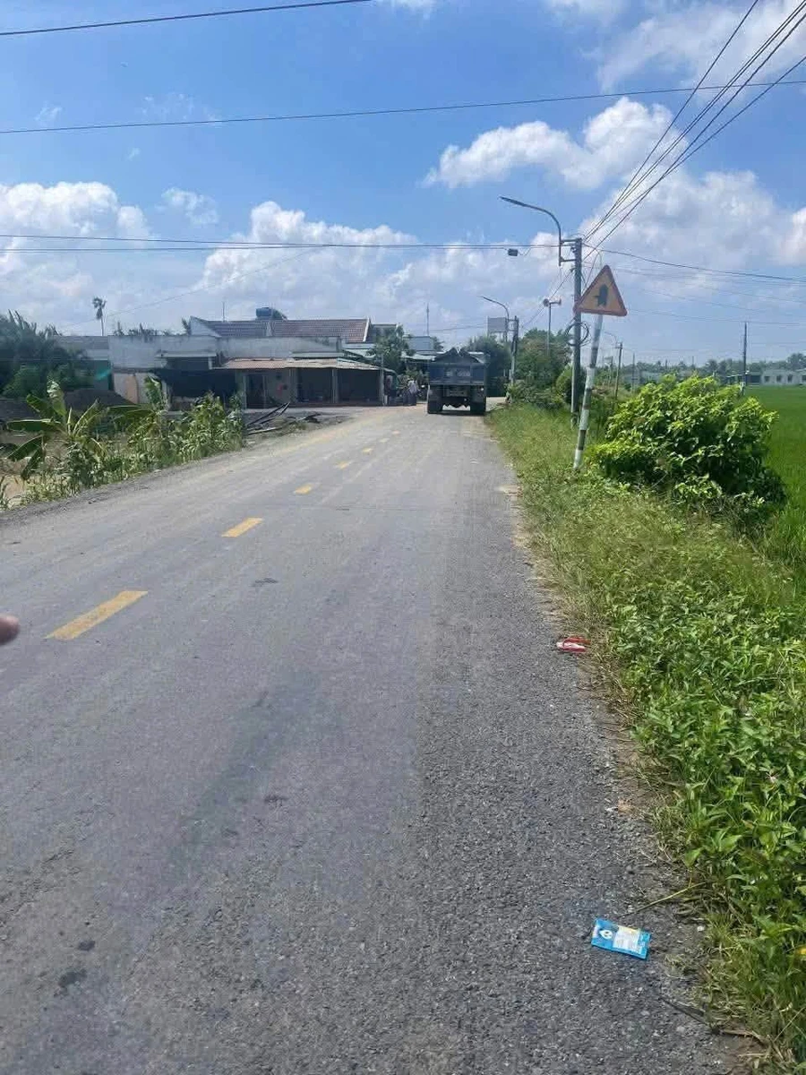 Bán đất mặt tiền đường nhựa 270m² Bình Lãng, Tân Trụ - Ảnh thu nhỏ 2