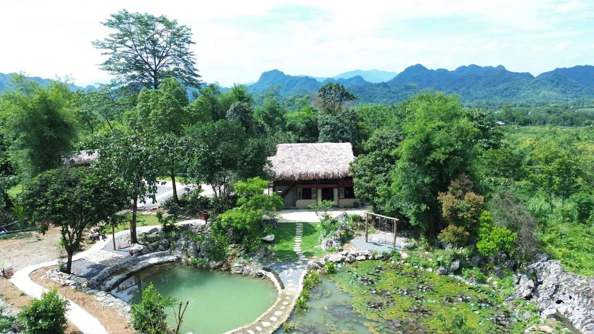 Bán homestay 2.600m2 view núi Tân Lạc Hòa Bình - Ảnh thu nhỏ 2
