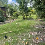 Cho thuê nhà vườn 2000m² Phước Vĩnh An Củ Chi 5 triệu/tháng - Ảnh thu nhỏ 2