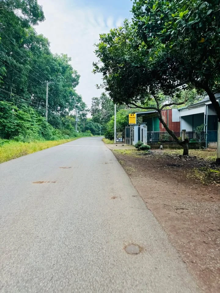 Bán đất 8000m² mặt tiền Tín Nghĩa, Bình Lộc, Đồng Nai - Ảnh thu nhỏ 4