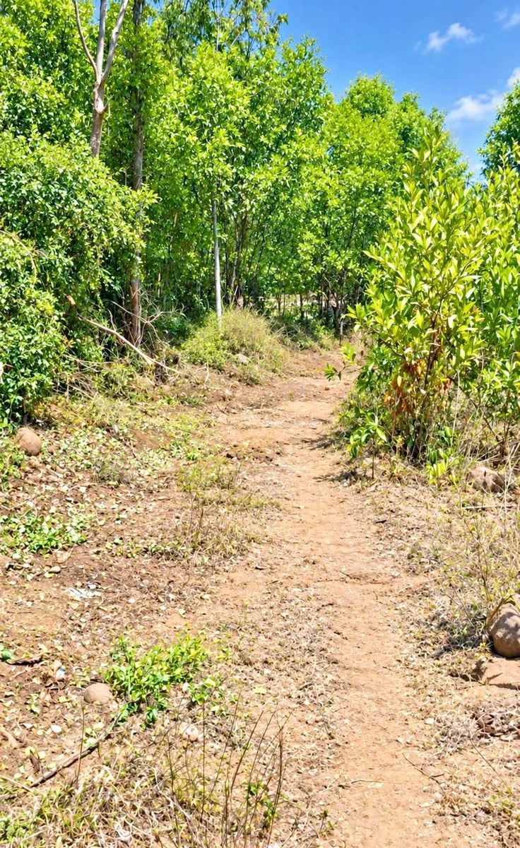 Bán đất nông nghiệp ven biển Châu Tân 577m2 - 159 triệu - Ảnh thu nhỏ 3