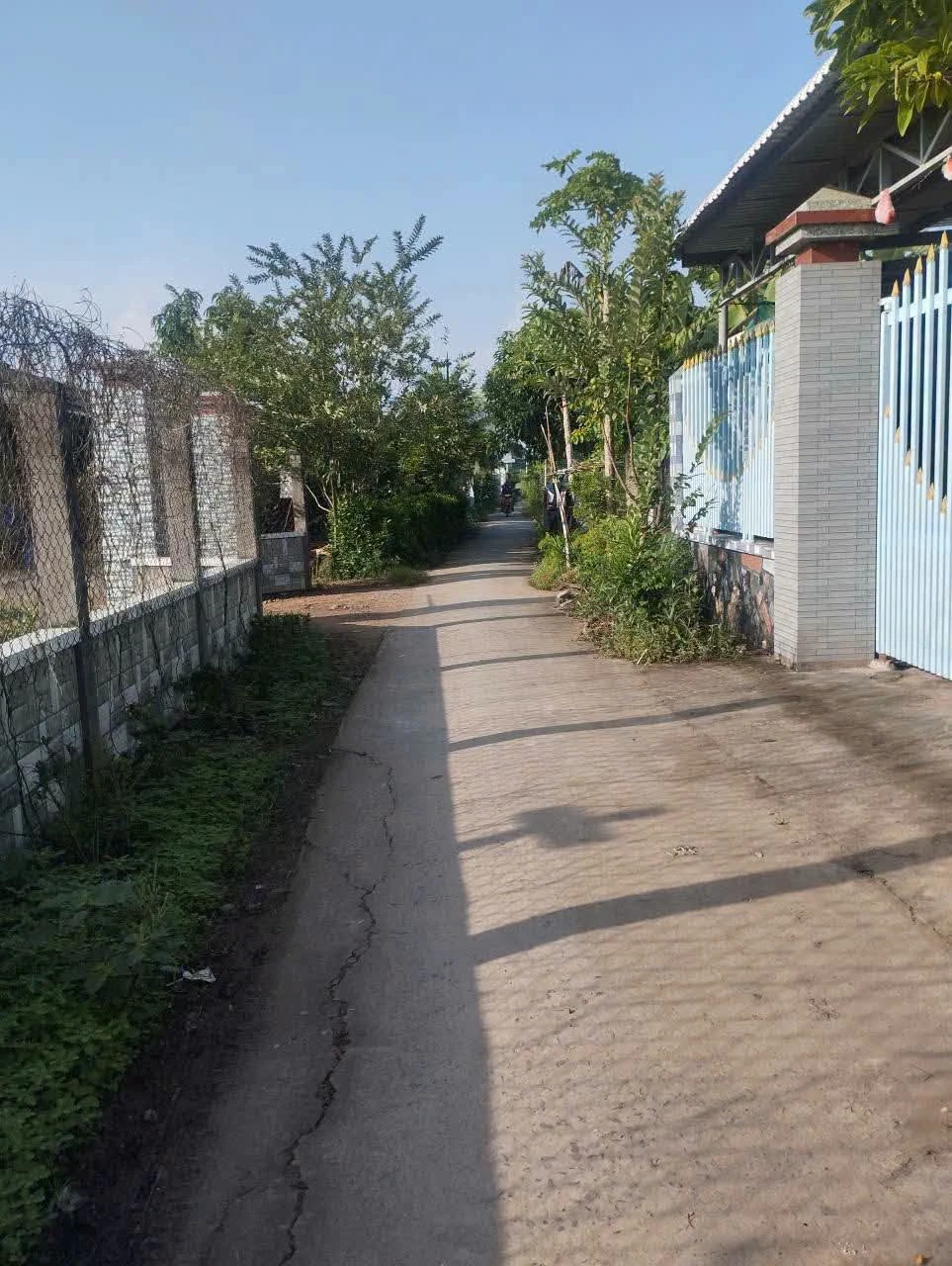 Bán đất 515m² An Phú Trung Ba Tri Bến Tre 400 triệu - Ảnh 1
