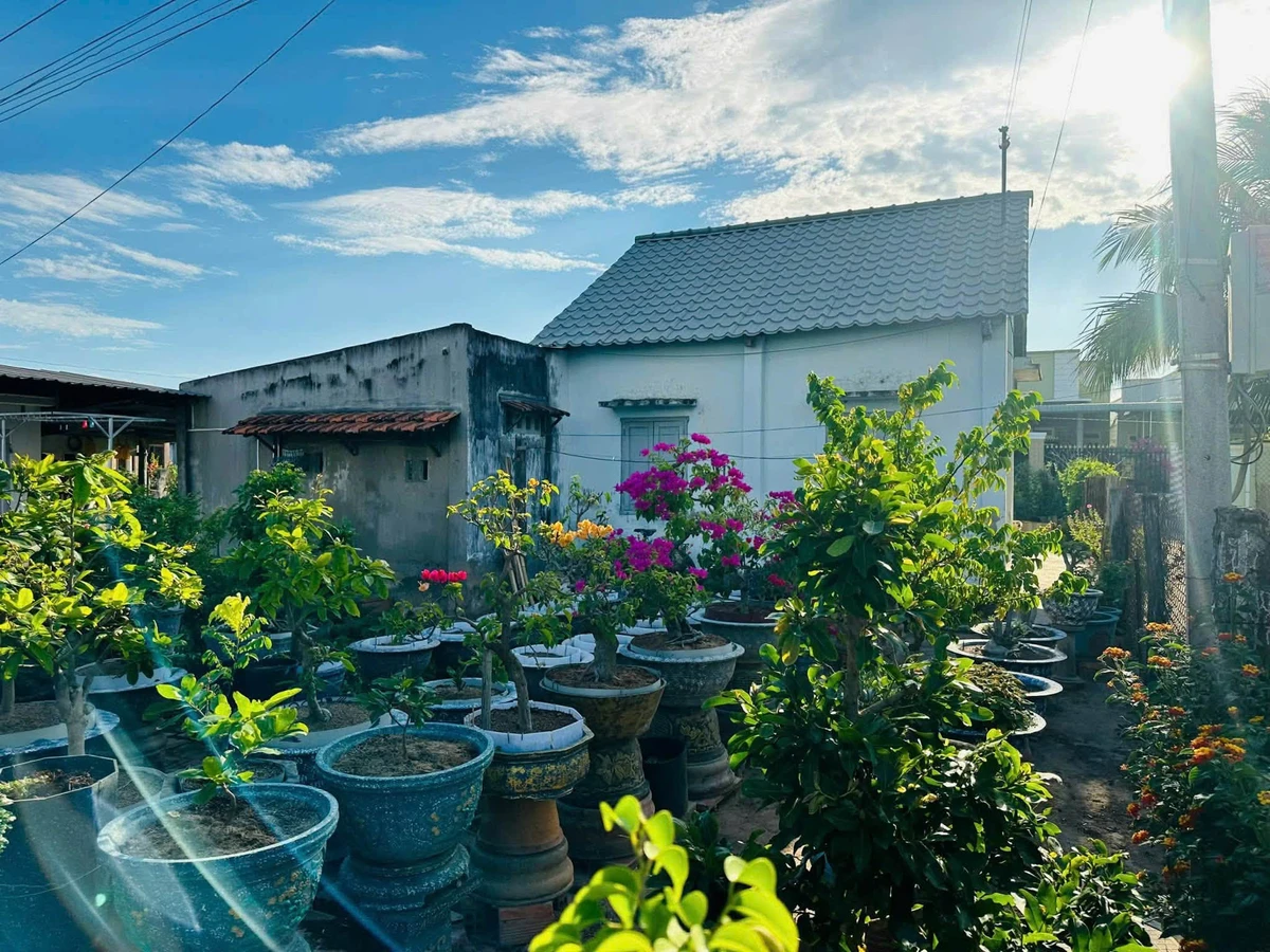 Bán lô đất 375,2 m² full thổ cư Bình Thuận - Ảnh thu nhỏ 5