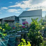 Bán lô đất 375,2 m² full thổ cư Bình Thuận - Ảnh thu nhỏ 5