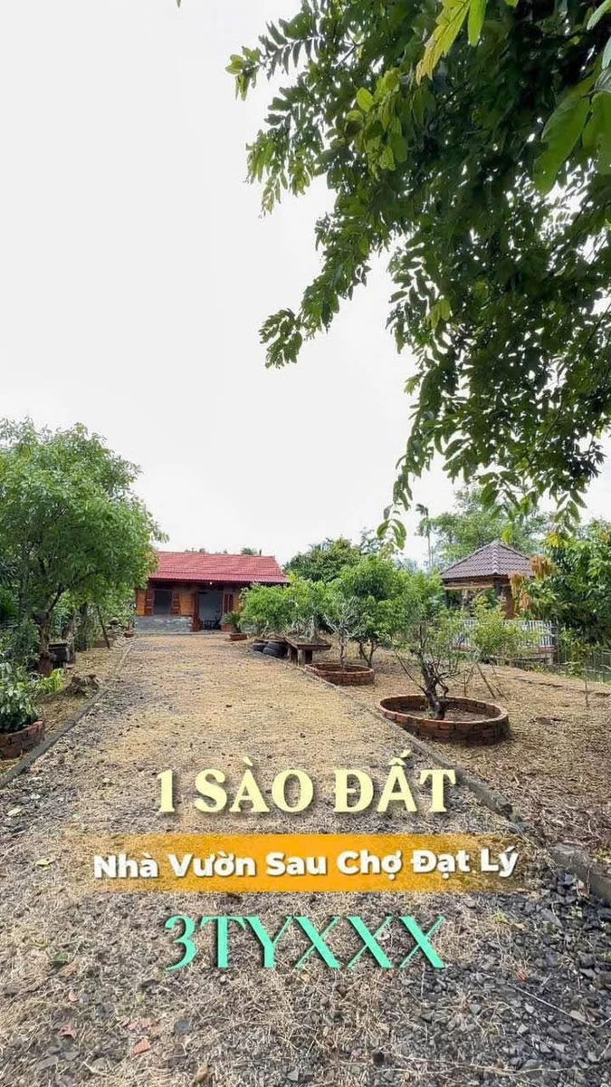 Nhà vườn Buôn Ma Thuột 1000m2 gần chợ Đạt Lý, giá 3.9 tỷ - Ảnh thu nhỏ 3