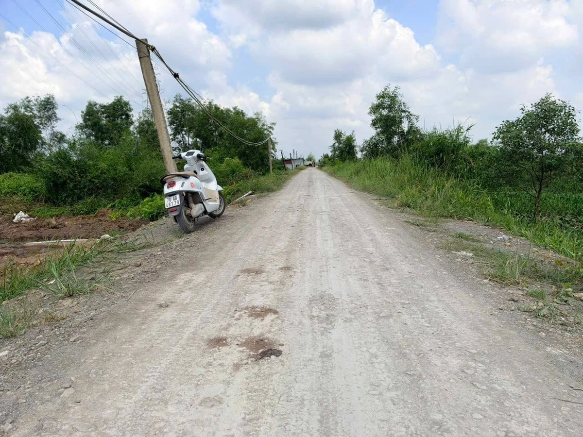 Bán đất vườn 1303m2 2 mặt tiền Bình Đức, Tây Ninh - Ảnh 1