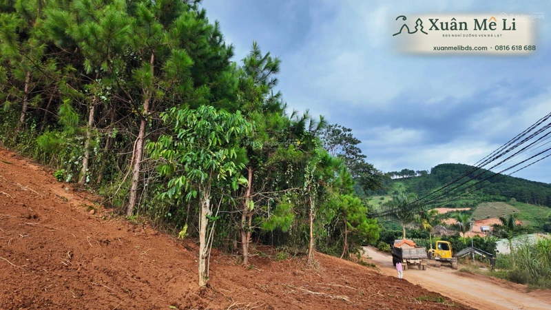 Bán 2 lô đất liền kề ven Đà Lạt, đường ô tô, Diện tích 368371m², sổ hồng riêng