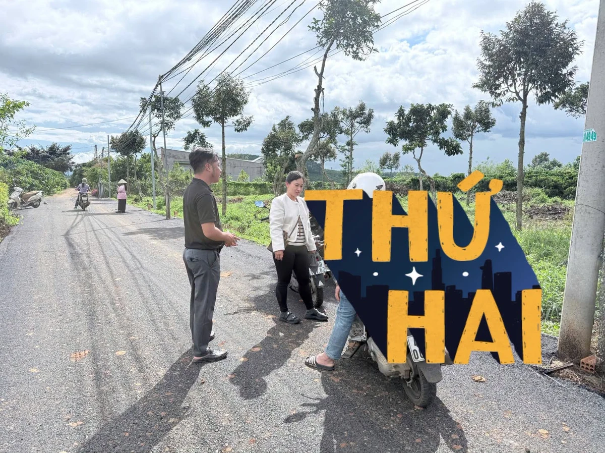 Bán đất 72m² mặt tiền 6m Tân Hội Nhà Bè 990 triệu - Ảnh thu nhỏ 3