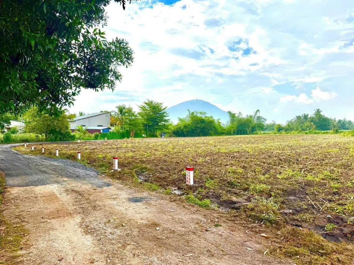 Bán đất vườn 574m2 giá 280 triệu Phan Tây Ninh - Ảnh thu nhỏ 3