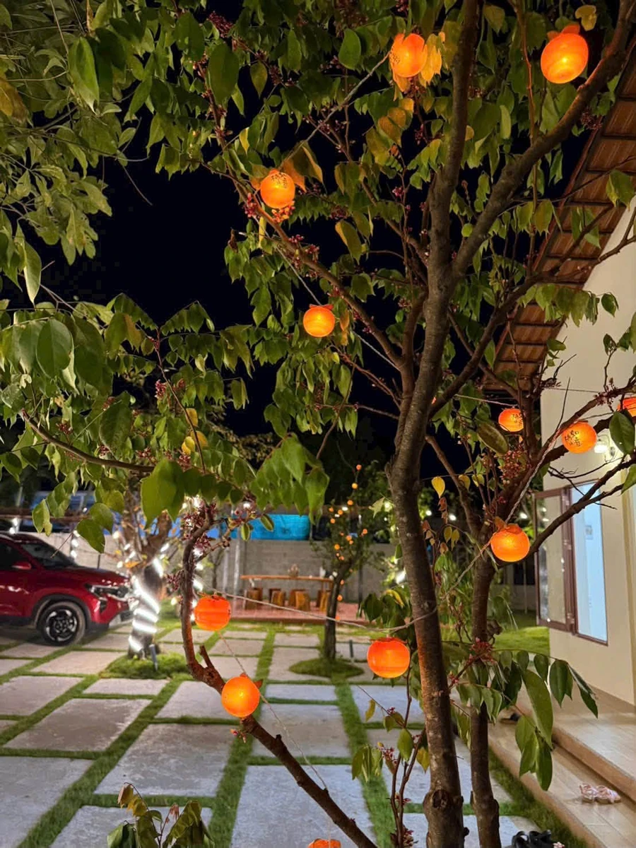 Bán nhà vườn 1.606m² Phan Thiết 1 tỷ 790 triệu - Ảnh thu nhỏ 5