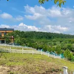 Bán đất nghỉ dưỡng 110,8m2 view hồ Tảo Hồng giá 840 triệu, Phường 2, Bảo Lộc - Ảnh thu nhỏ 3