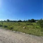 Cho thuê bãi công 15.000m2 Biên Hòa 15 triệu/tháng - Ảnh thu nhỏ 1