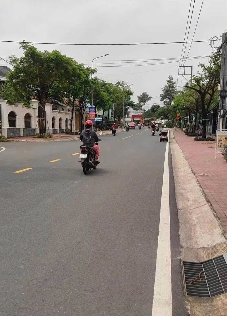 Bán đất mặt tiền Bùi Ngọc Thu 680m² giá 10 tỷ - Ảnh thu nhỏ 2