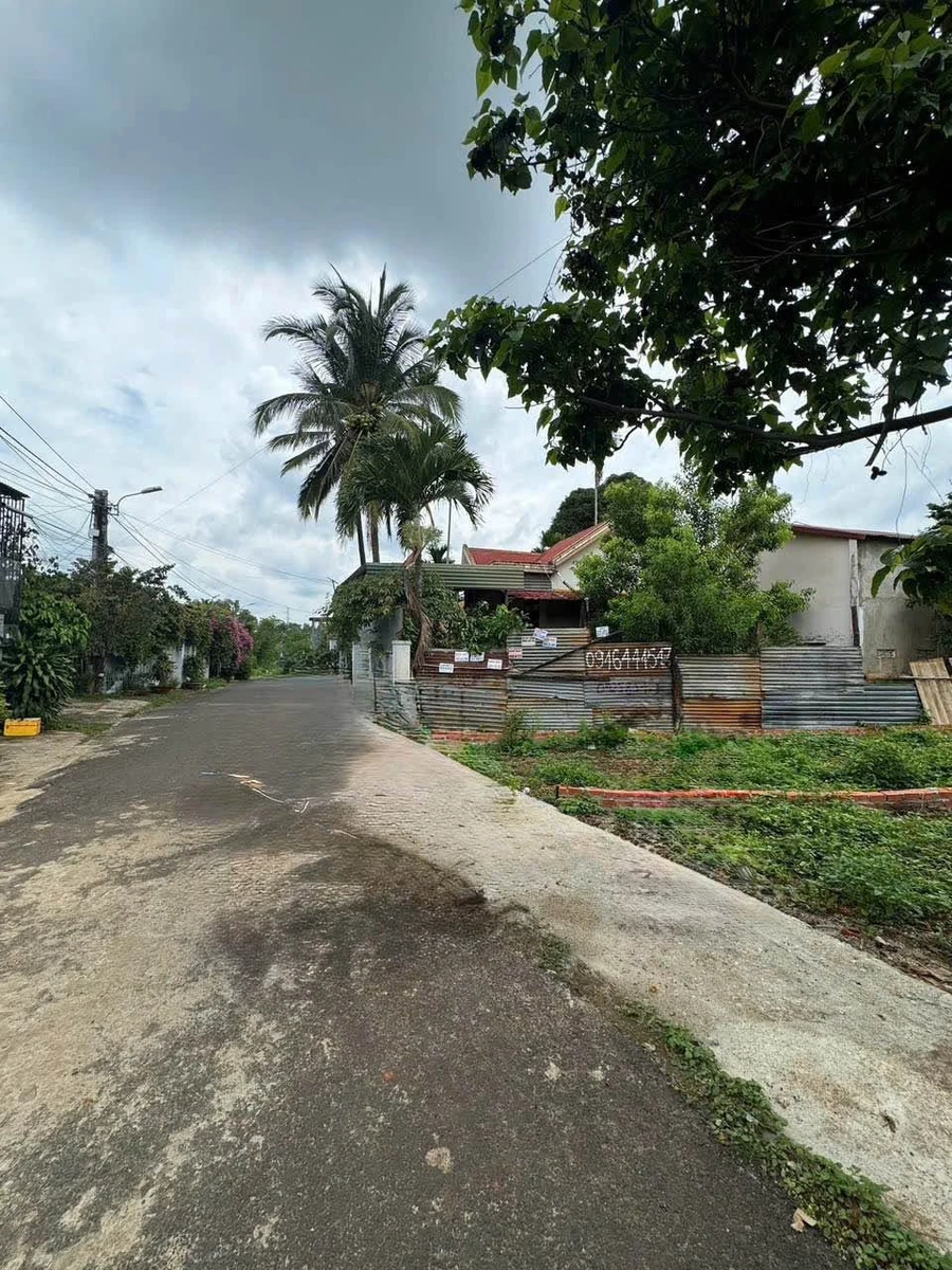 Bán 2 lô đất liền kề 100m² hẻm Mai Thị Lựu - Ảnh thu nhỏ 3