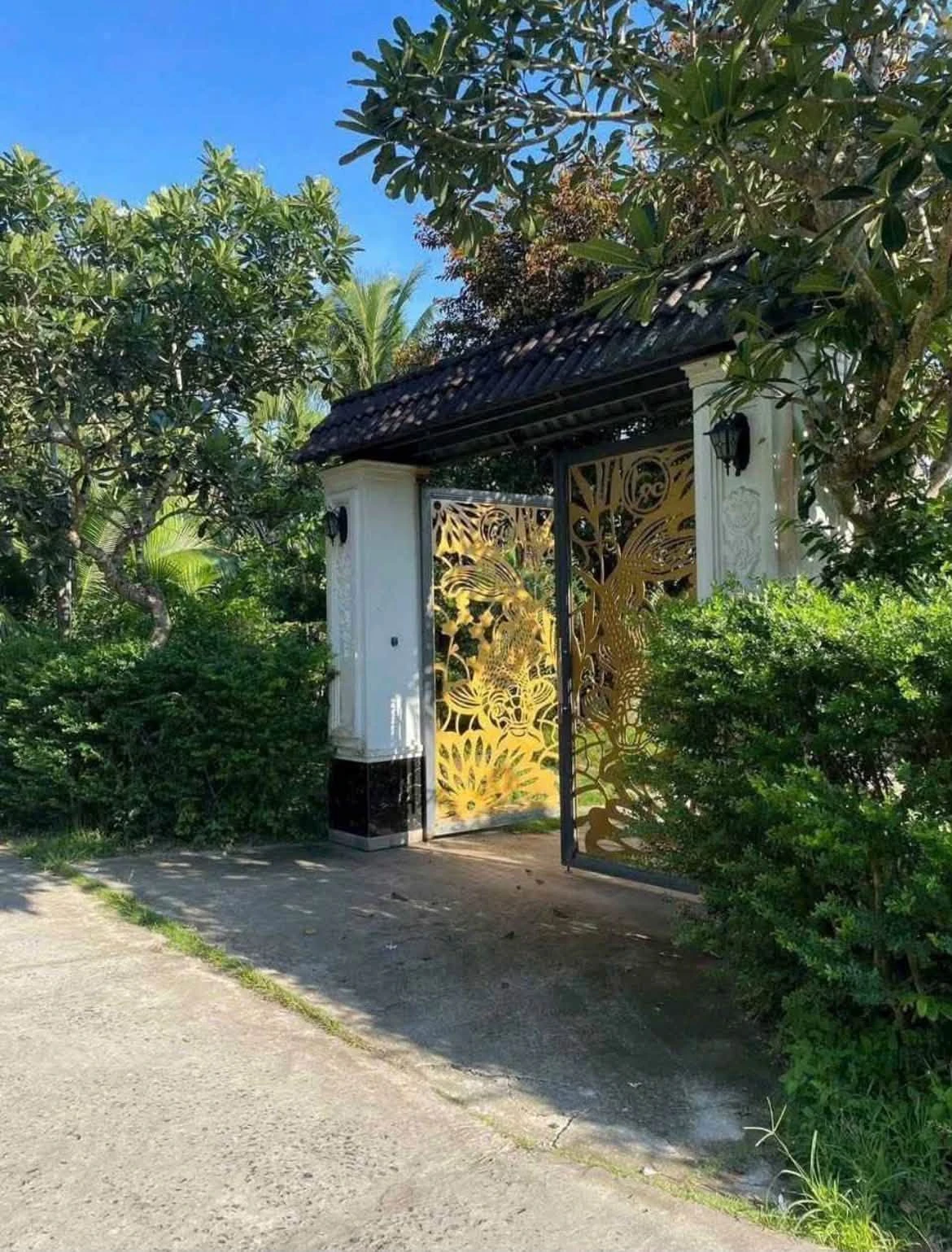 Bán biệt thự sân vườn 5.258m² Lương Hòa 4 tỷ - Ảnh 1