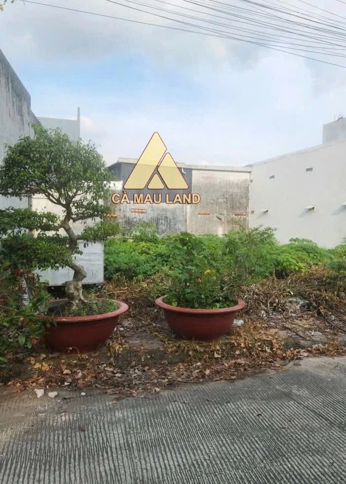 Bán nền đất Dương Văn Thà Cà Mau 99m² - Ảnh thu nhỏ 2