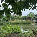 Bán nhà mặt tiền 172.7m2 Trần Văn Kỷ, view sông, Quận 1 - Ảnh thu nhỏ 1