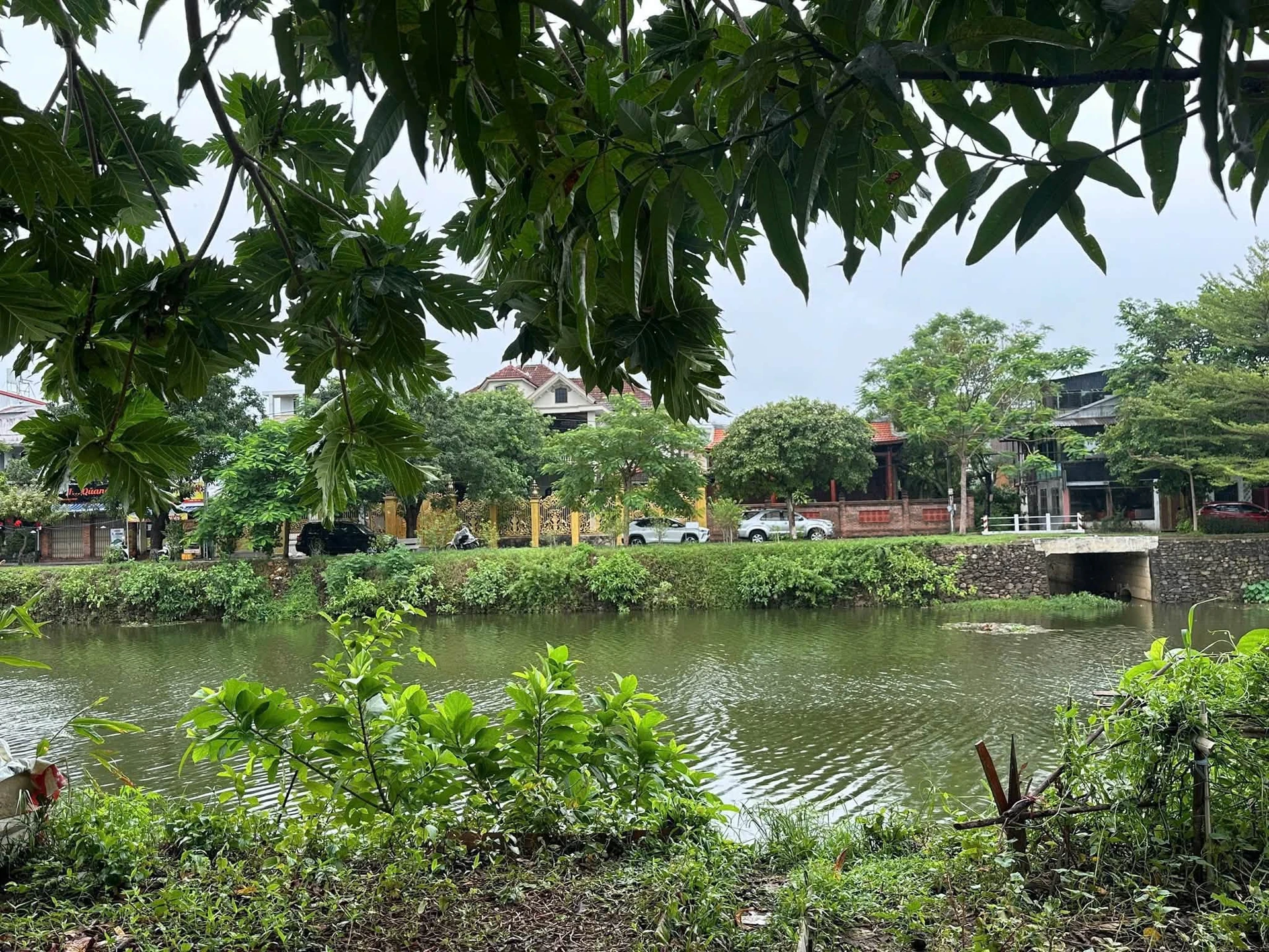 Bán nhà mặt tiền 172.7m2 Trần Văn Kỷ, view sông, Quận 1 - Ảnh 1