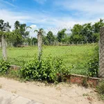 Bán đất 1000m2 tại Bình An 2, Tuy Phước Tây, Bình Dương - Ảnh thu nhỏ 1