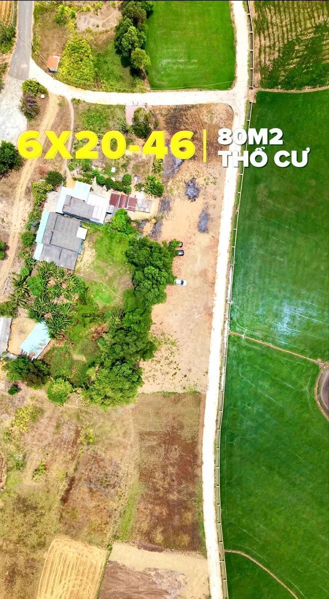 Bán đất 139m² Xã Phước Hải, Bà Rịa - Vũng Tàu, 650 triệu - Ảnh thu nhỏ 4