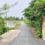 Bán đất thổ cư 150m² chỉ 150 triệu Thủ Thừa - Ảnh thu nhỏ 1