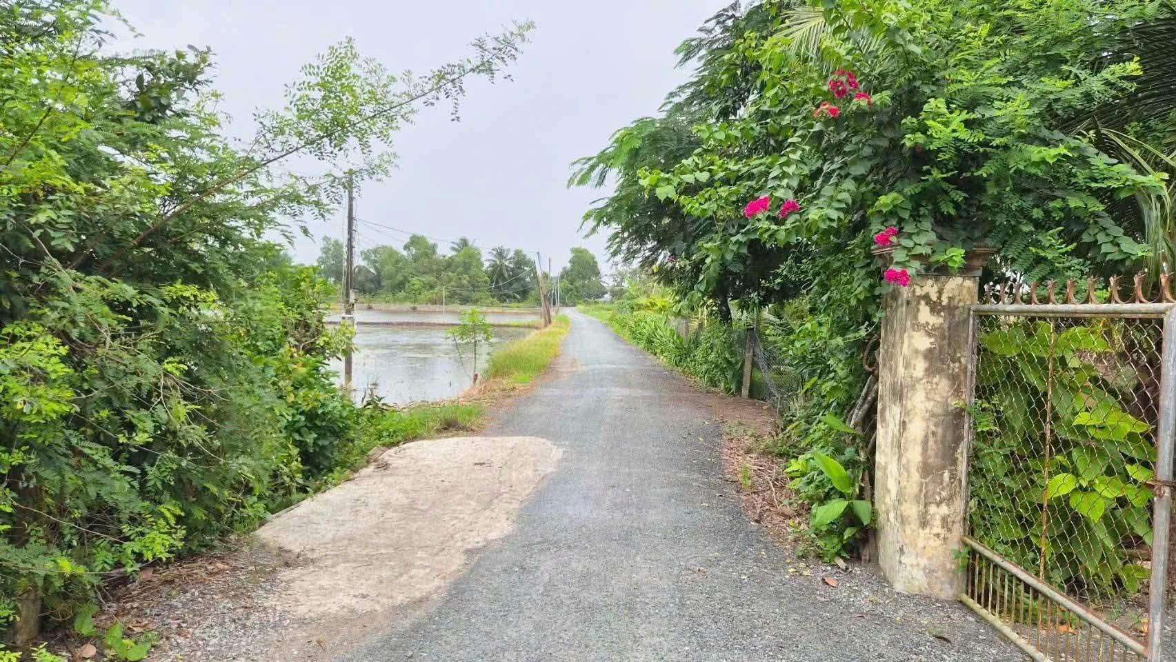Bán đất thổ cư 150m² chỉ 150 triệu Thủ Thừa - Ảnh 1