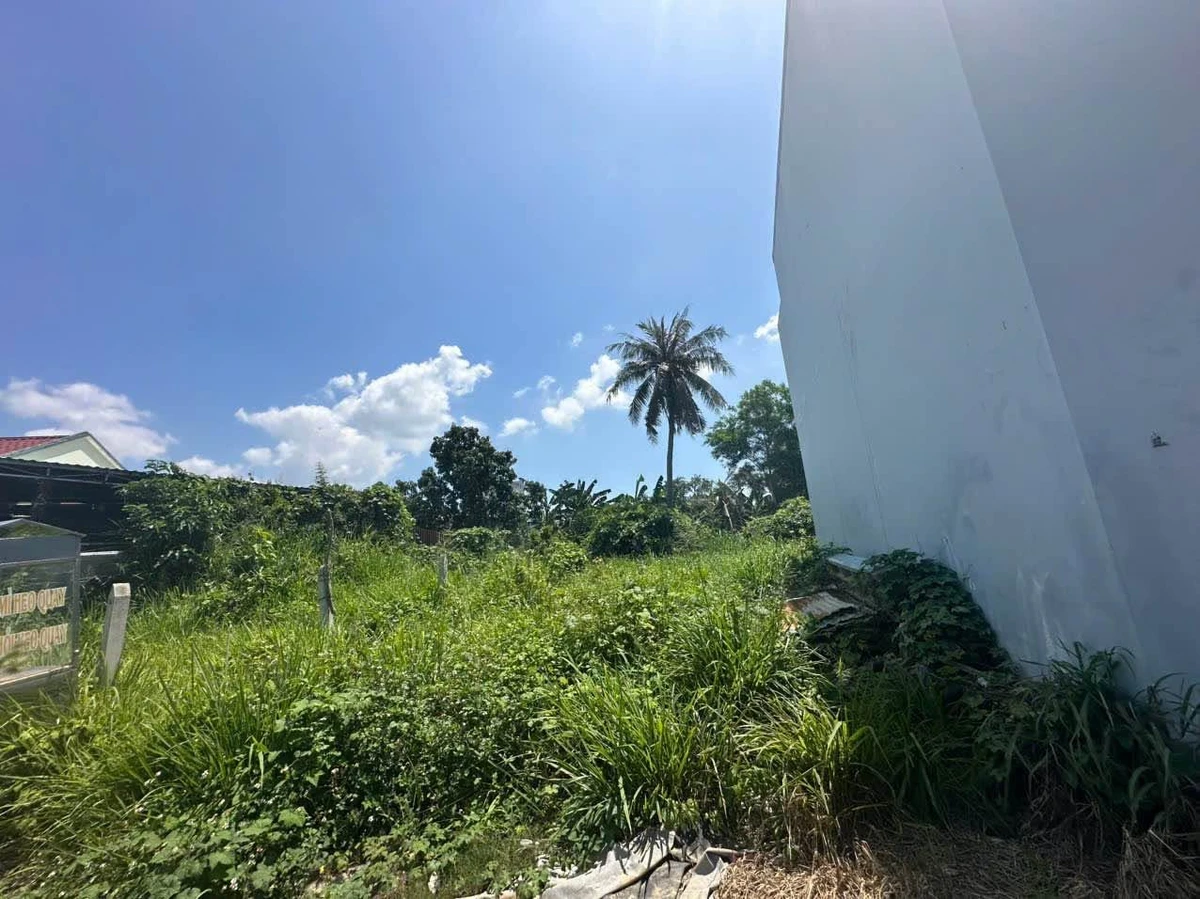 Bán đất full thổ cư Diên An 68,5m² ngang 6,5m - Ảnh 1