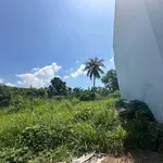 Bán đất full thổ cư Diên An 68,5m² ngang 6,5m - Ảnh thu nhỏ 1