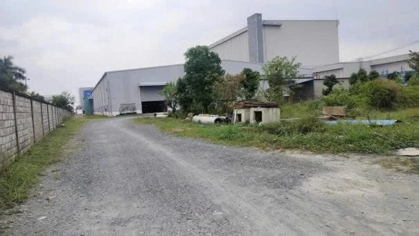 Bán kho xưởng 19.307m2 KCN An Phú Thạnh, Bến Lức - Ảnh thu nhỏ 3