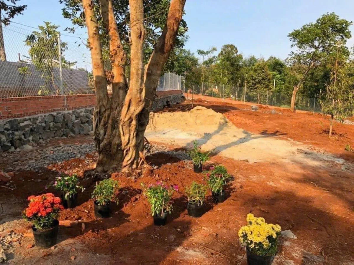 Bán đất 5 sào view suối Hoà Thắng, Tân Lập - Ảnh thu nhỏ 4