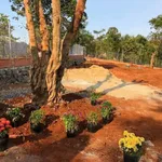 Bán đất 5 sào view suối Hoà Thắng, Tân Lập - Ảnh thu nhỏ 4